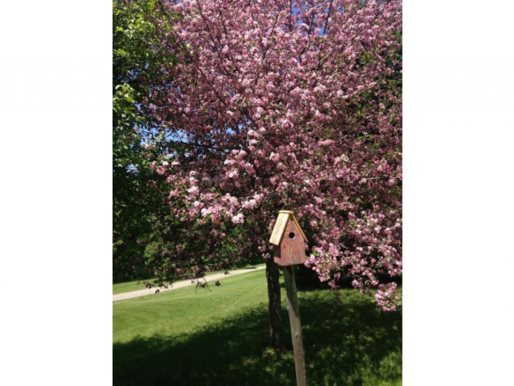 56 Mattison Road Pownal, VT 05261 - Photo 8 of 29 Gallery Image 8