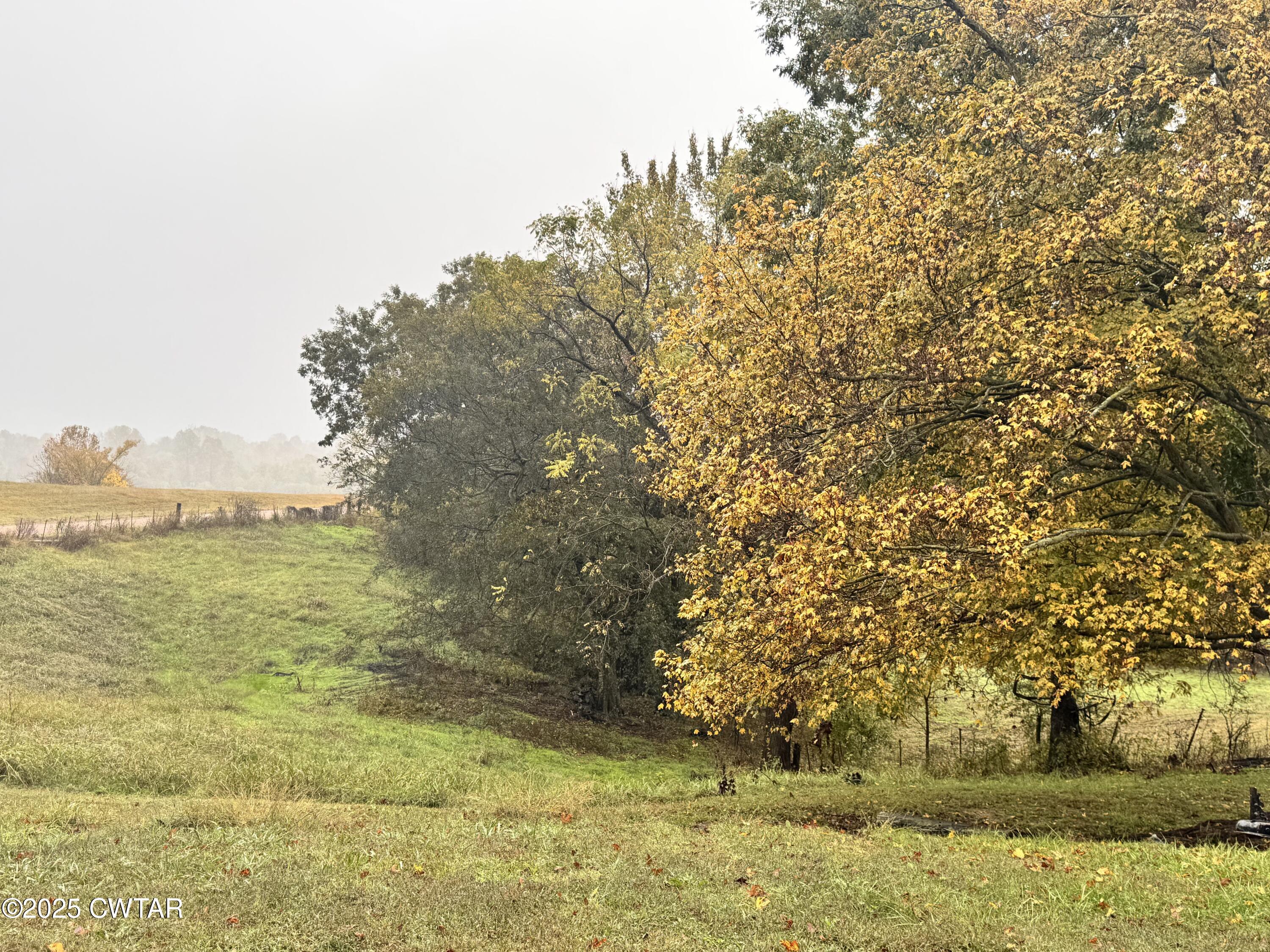 2727 Marvin Vaught Road Troy, TN 38260 - Photo 13 of 19 a view of a yard with an outdoor space