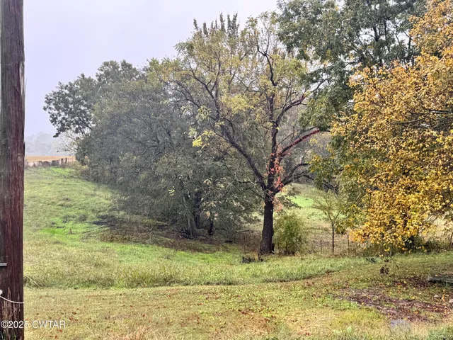 a view of a lake from a yard