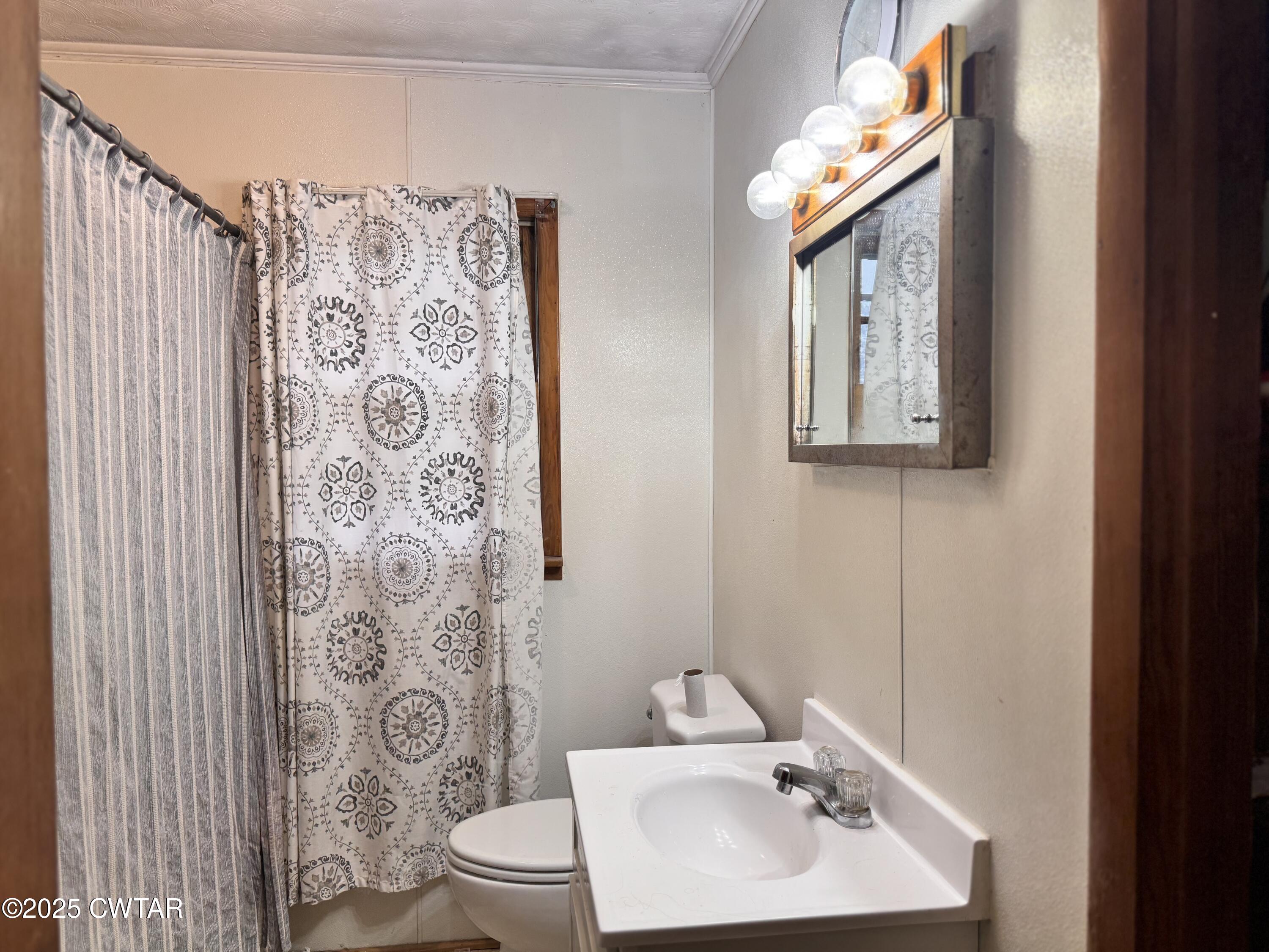 2727 Marvin Vaught Road Troy, TN 38260 - Photo 9 of 19 a bathroom with a sink a toilet and shower curtain