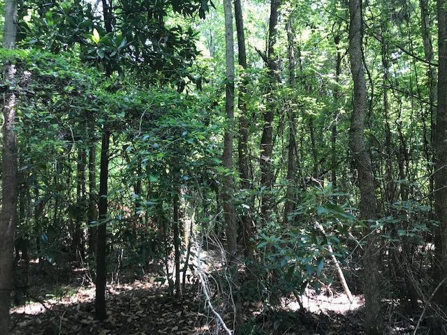 0 Epps Road New Zion, SC 29111 - Photo 3 of 13 3
