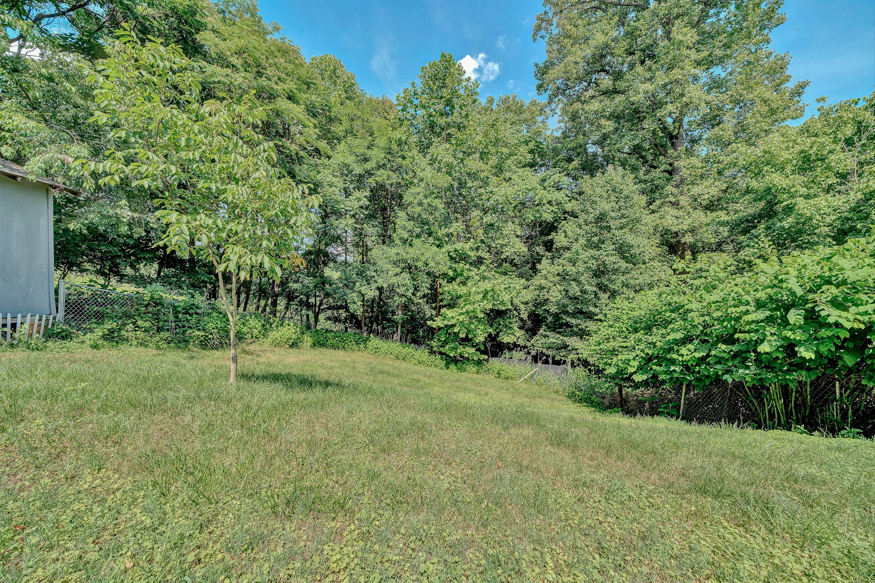 2316 Ridge Road Roanoke, VA 24014 - Photo 27 of 30 27-VM-09062
