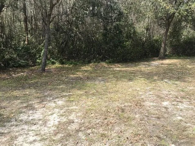 a view of a dry yard