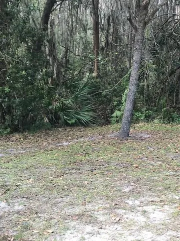 $1,895 | 1135 Baronscourt Drive, Wesley Chapel, FL 33543