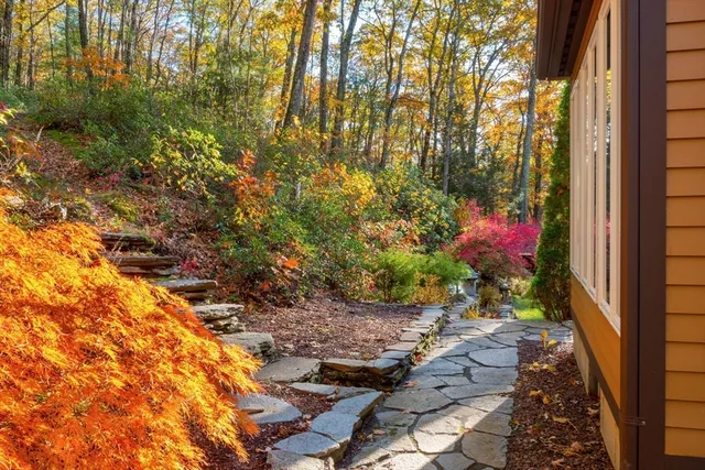 a view of a backyard with plants and large trees