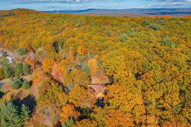 a view of a big yard