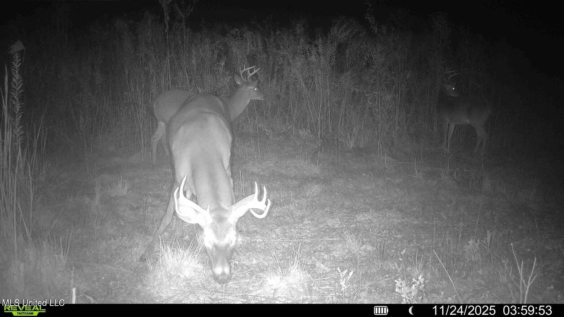 0 Biltmore Road McComb, MS 39648 - Photo 11 of 14 20260128131809065876000000-o