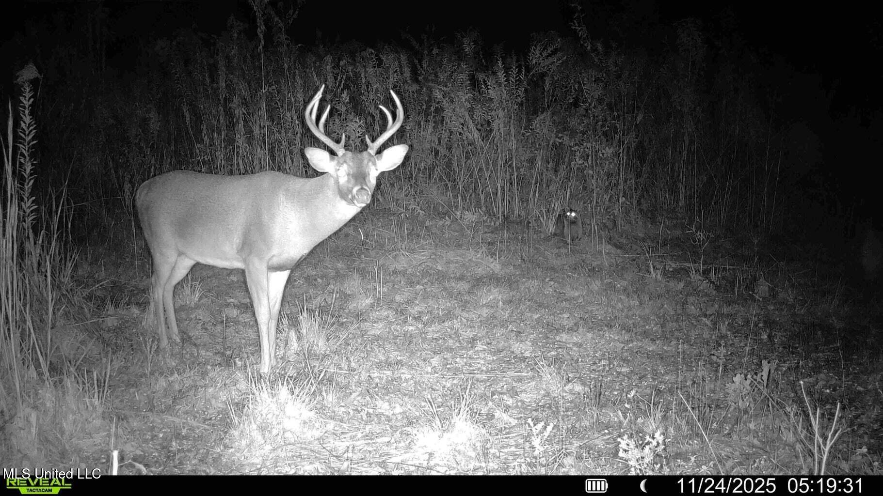 0 Biltmore Road McComb, MS 39648 - Photo 12 of 14 20260128131810769302000000-o