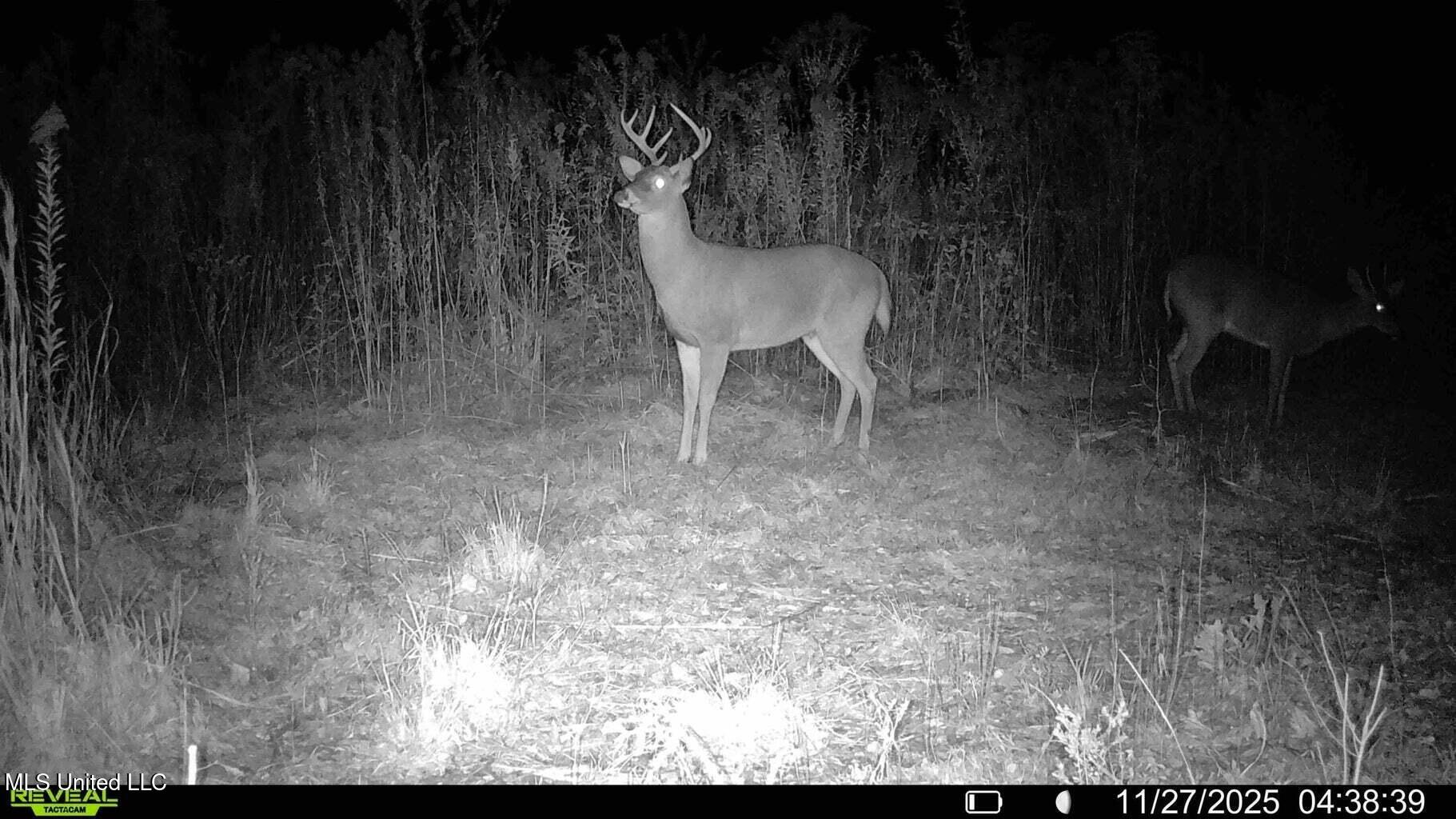 0 Biltmore Road McComb, MS 39648 - Photo 13 of 14 20260128131813649288000000-o