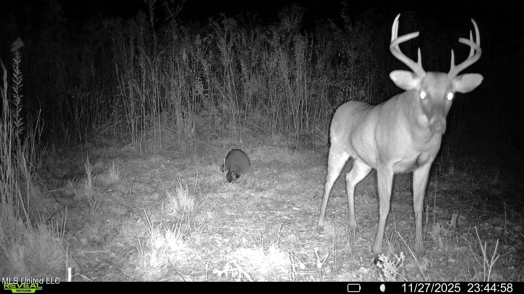 0 Biltmore Road McComb, MS 39648 - Photo 14 of 14 20260128131816015460000000-o