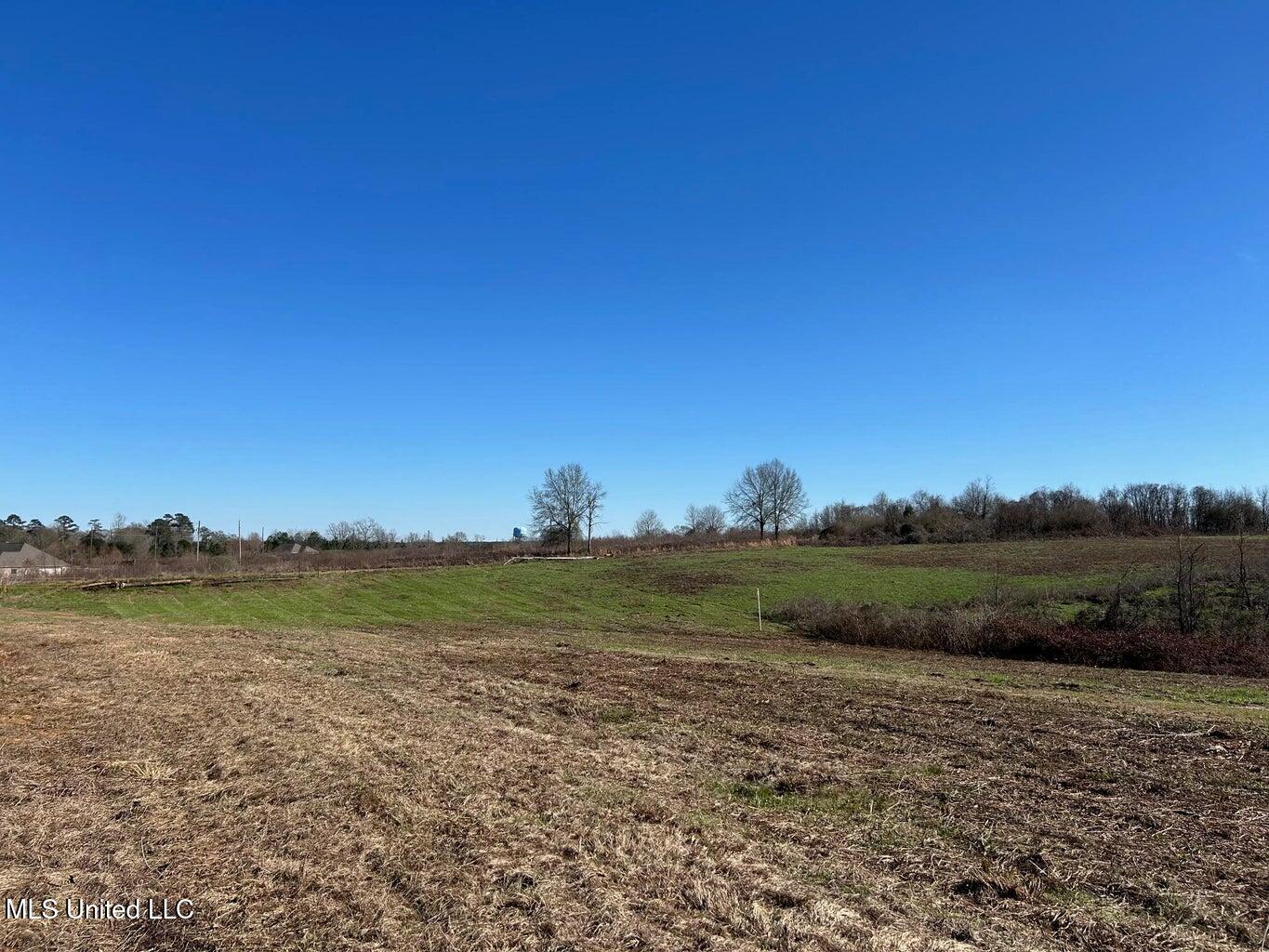 0 Biltmore Road McComb, MS 39648 - Photo 3 of 14 20260128025741483232000000-o