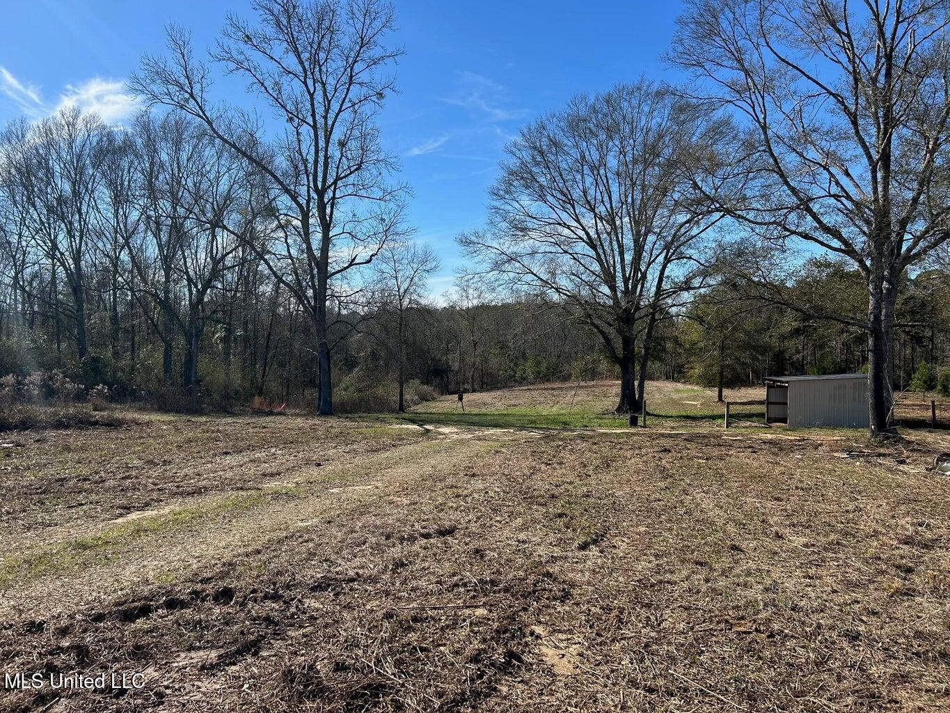 0 Biltmore Road McComb, MS 39648 - Photo 5 of 14 20260128025743472464000000-o