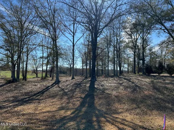 $89,500 | 0 Biltmore Road, McComb, MS 39648