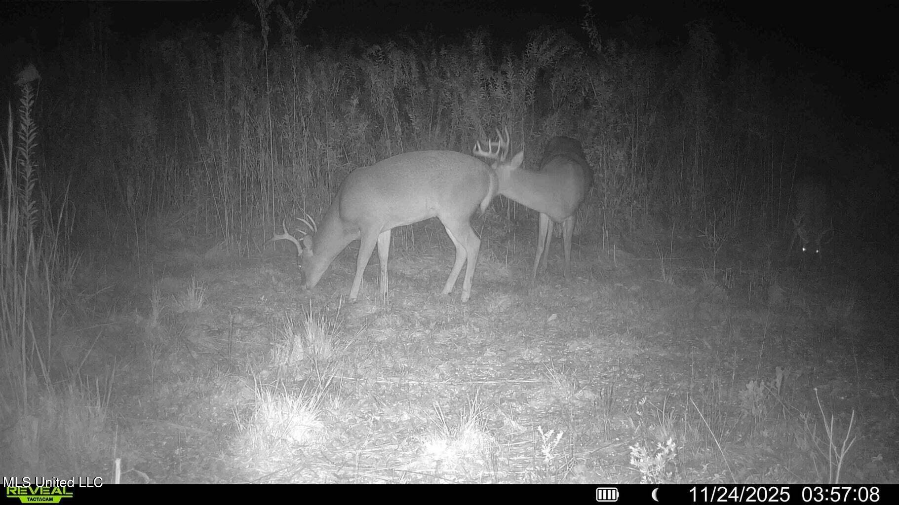 0 Biltmore Road McComb, MS 39648 - Photo 10 of 14 20260128131806753285000000-o