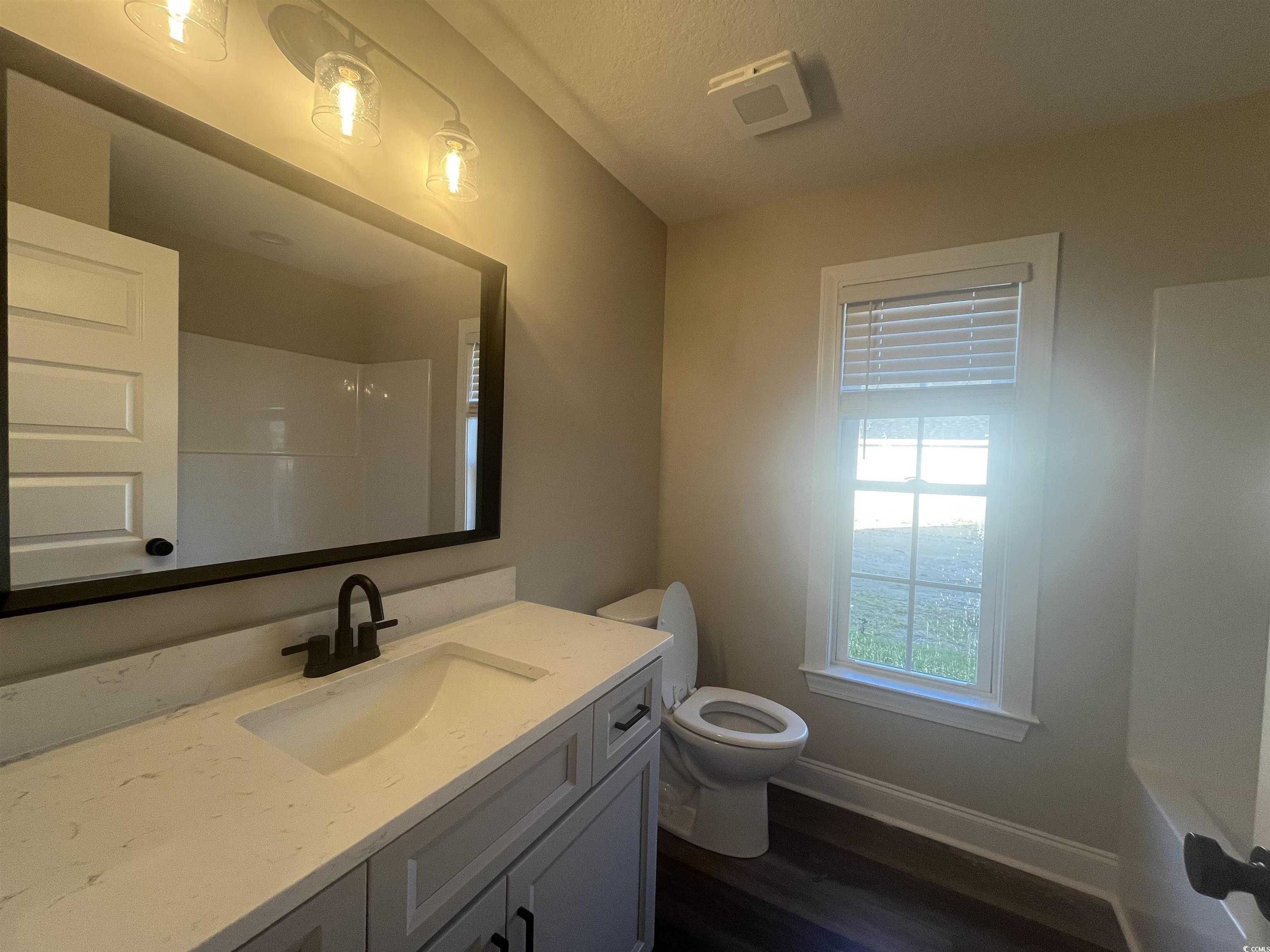 2925 Hughes Gasque Road Aynor, SC 29511 - Photo 10 of 12 Bathroom with vanity, wood finished floors, and a