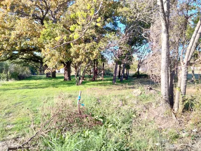 a view of a field with large trees