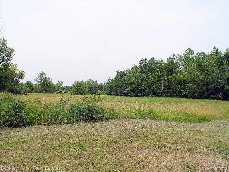 2385 Botsford Road Howell, MI 48855 - Photo 15 of 19 Plenty of Greenery.jpg