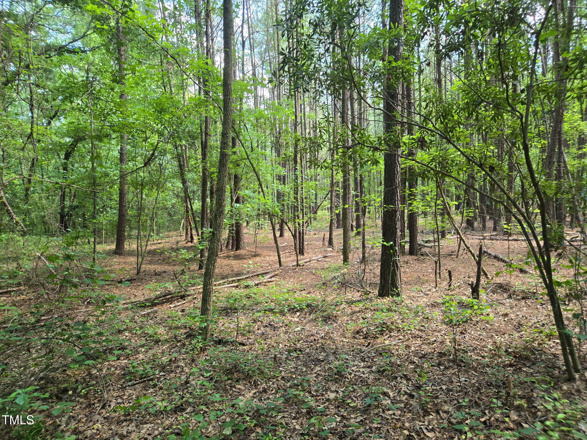 0 Lee-Johnson Road Dunn, NC 28334 - Photo 10 of 15 1000041249