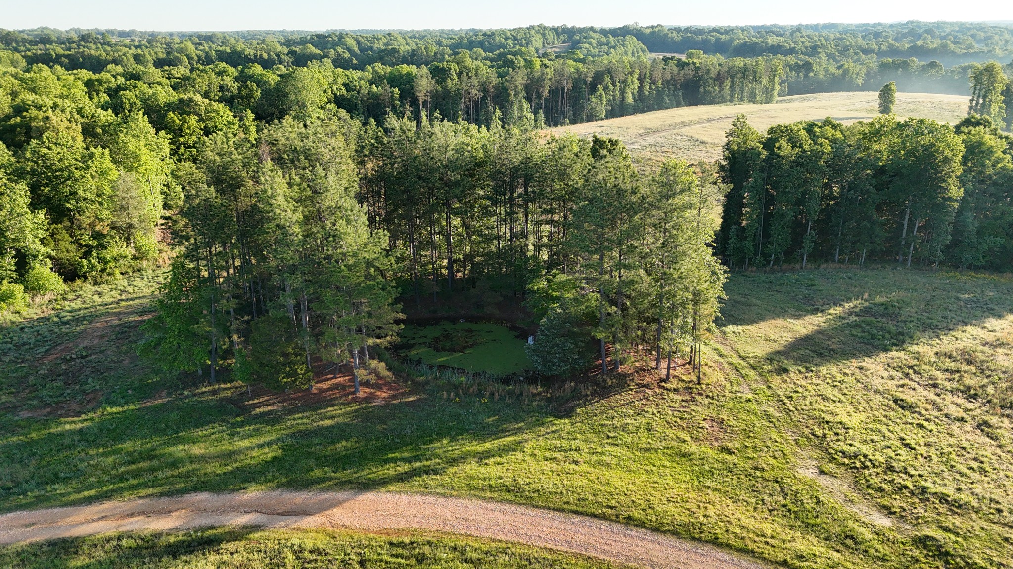 0 Seven 7 Mile Ridge Road Indian Mound, TN 37079 - Photo 24 of 27