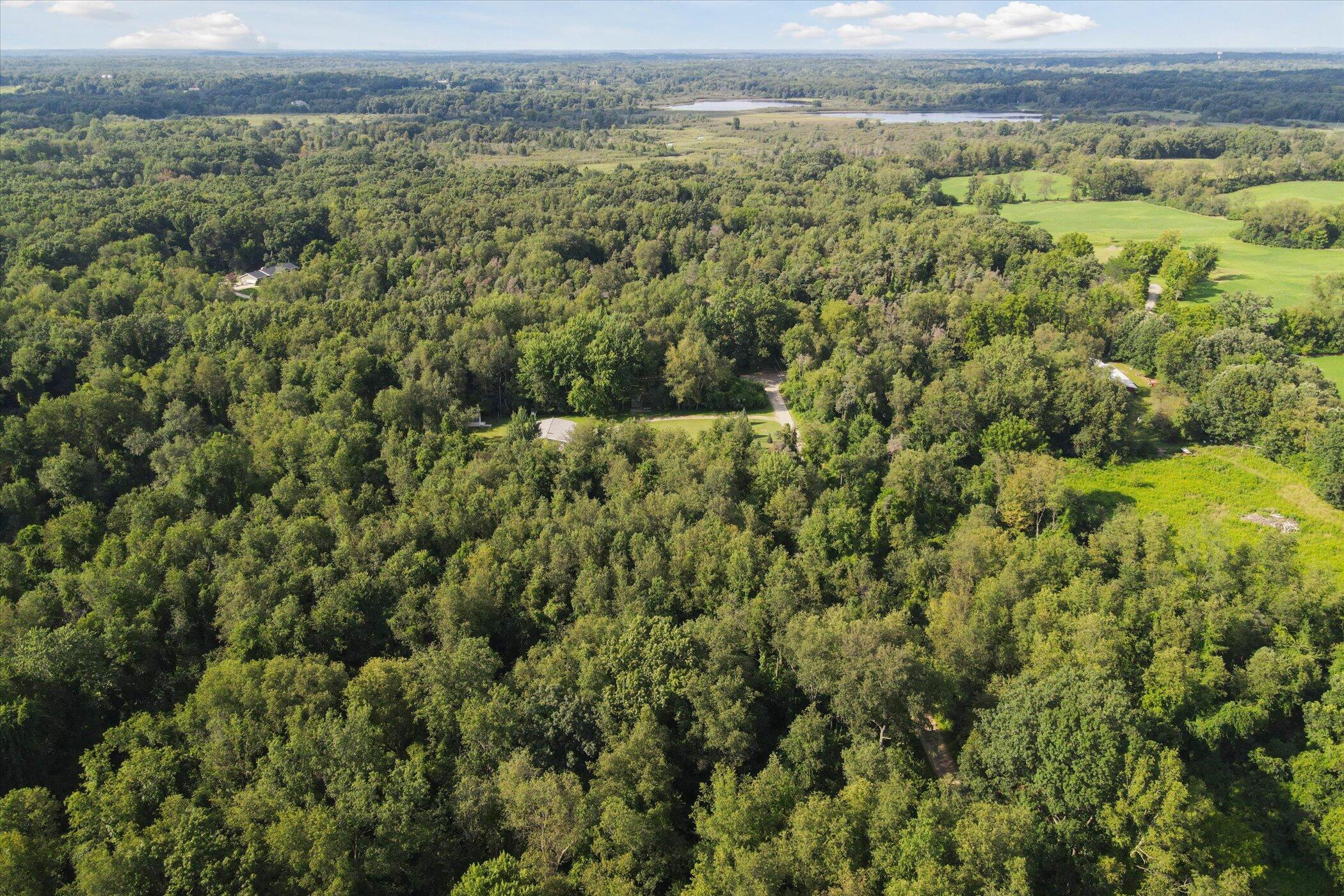 5678 Vrooman Road Jackson, MI 49201 - Photo 55 of 61 55-5678-Vrooman-Rd-Jackson-MI-49201-Wind