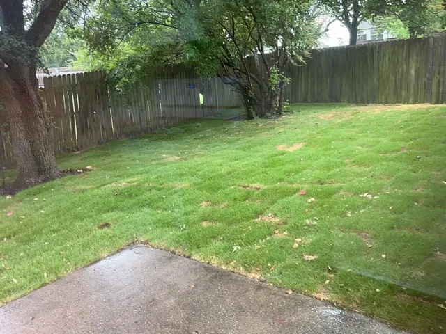 a view of a yard with large tree and wooden fence