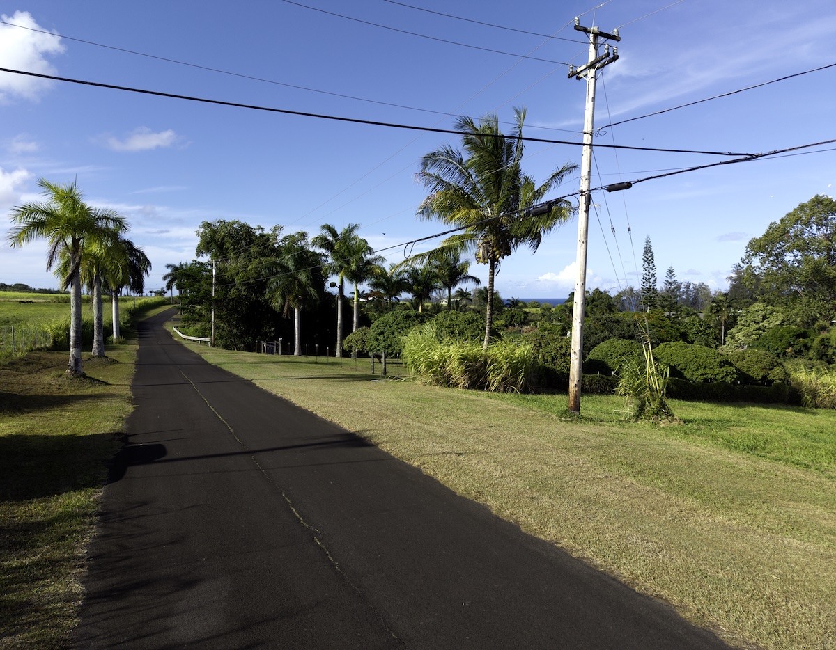 28-3188 Beach Road Pepeekeo, HI 96783 - Photo 13 of 19 a view of a outdoor space