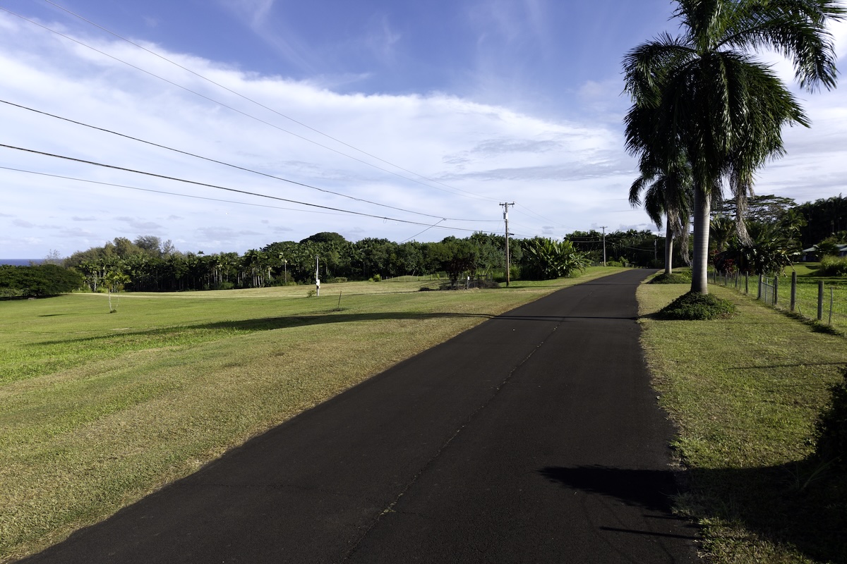 28-3188 Beach Road Pepeekeo, HI 96783 - Photo 14 of 19 a view of a yard