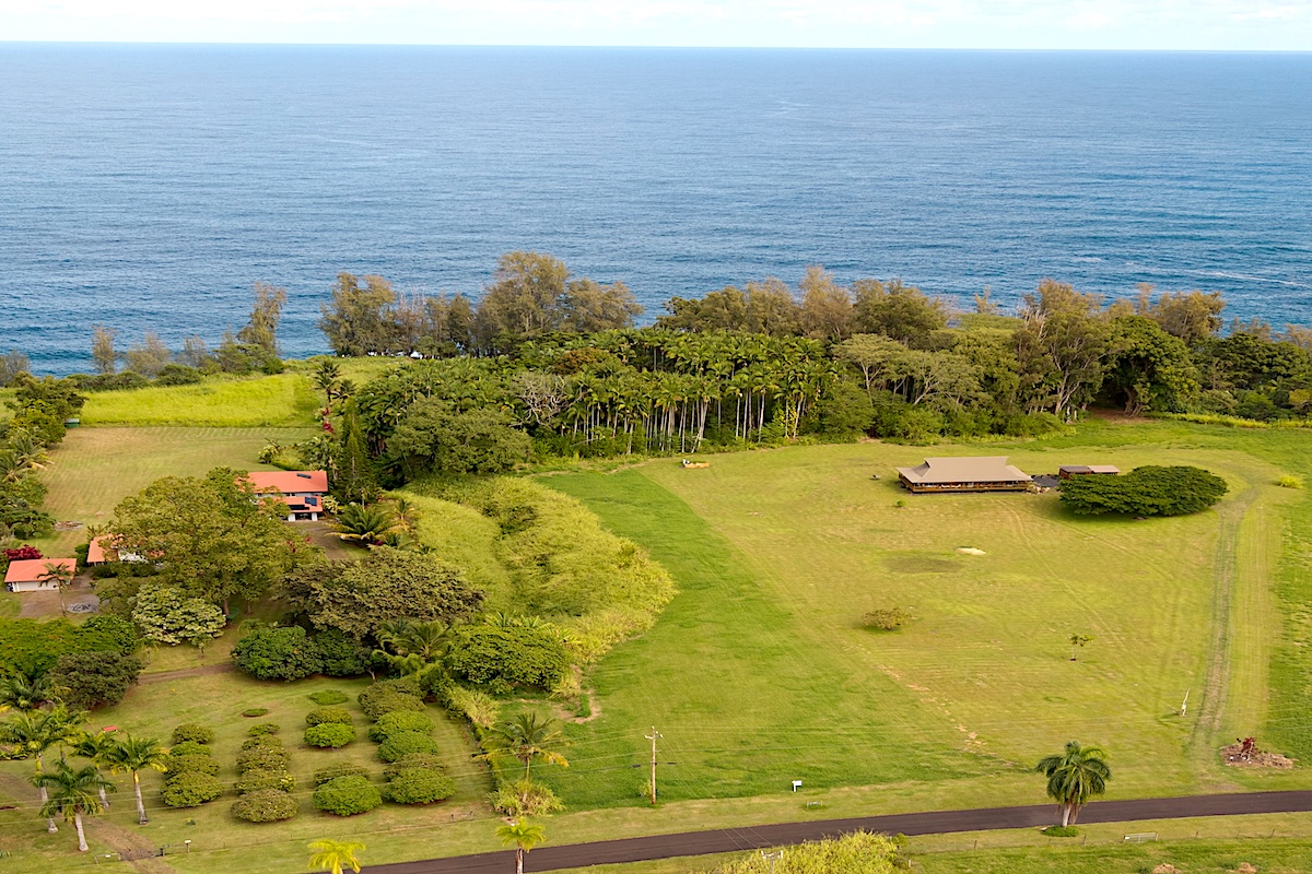 28-3188 Beach Road Pepeekeo, HI 96783 - Photo 15 of 19 a view of an ocean view