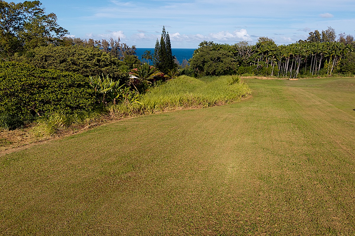28-3188 Beach Road Pepeekeo, HI 96783 - Photo 16 of 19 a view of an ocean
