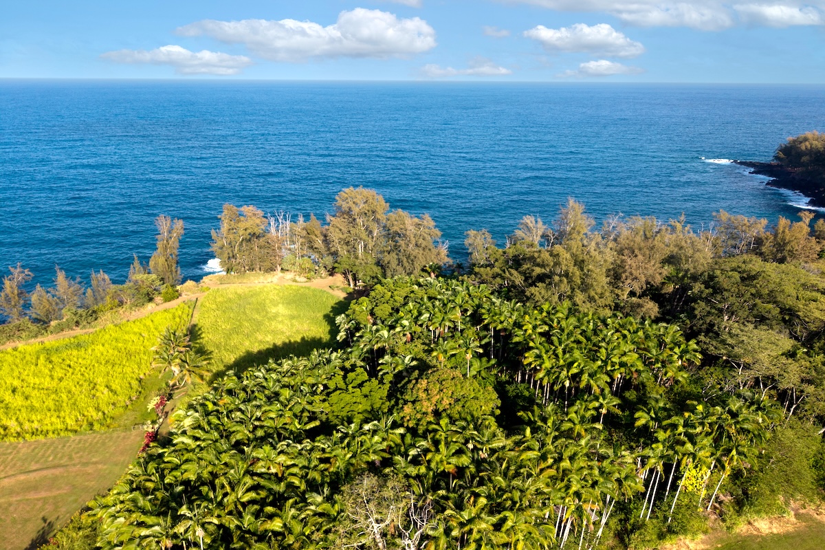 28-3188 Beach Road Pepeekeo, HI 96783 - Photo 17 of 19 a view of a lake