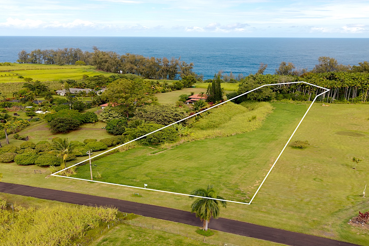 28-3188 Beach Road Pepeekeo, HI 96783 - Photo 3 of 19 a view of a pool