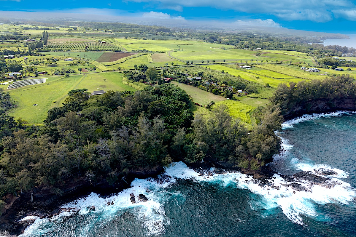 28-3188 Beach Road Pepeekeo, HI 96783 - Photo 4 of 19 a view of a city with ocean view