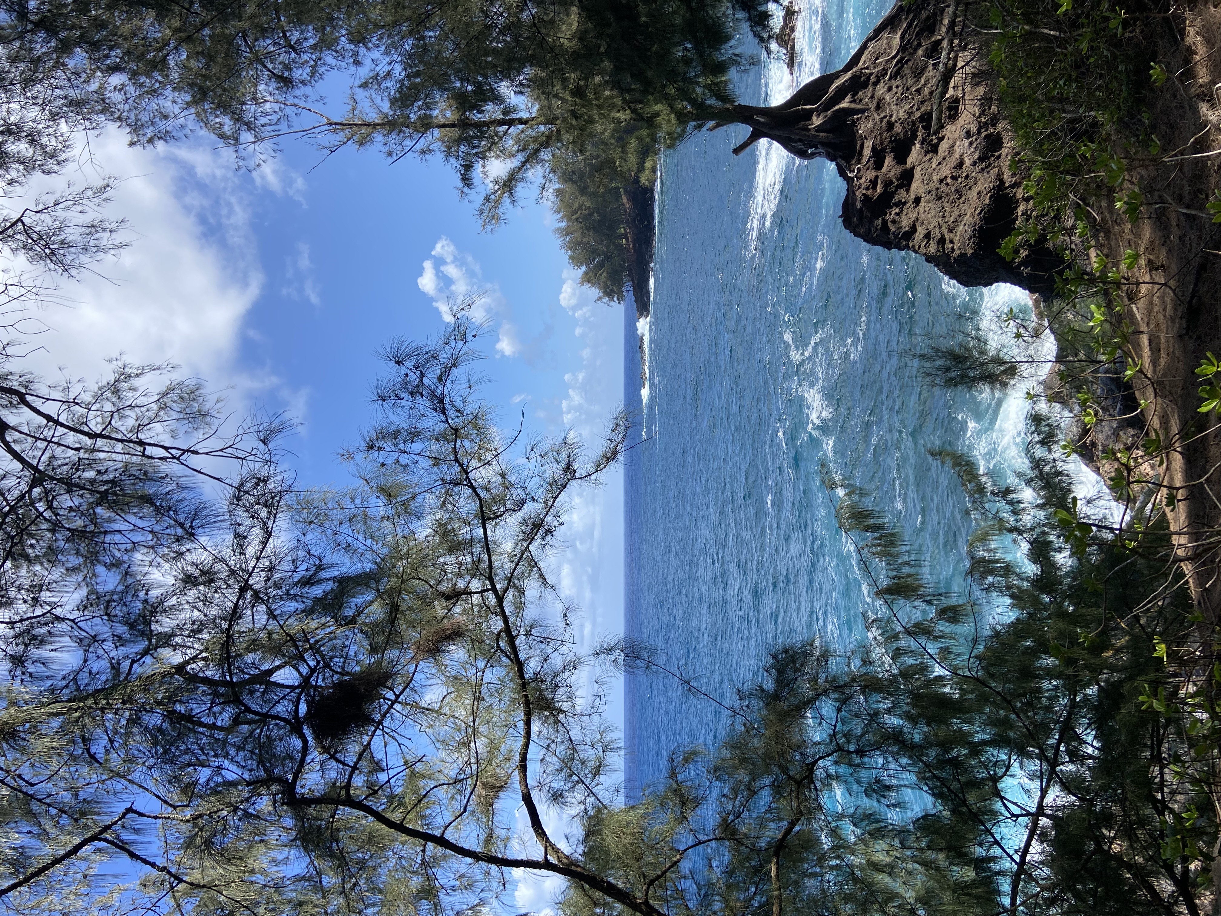 28-3188 Beach Road Pepeekeo, HI 96783 - Photo 8 of 19