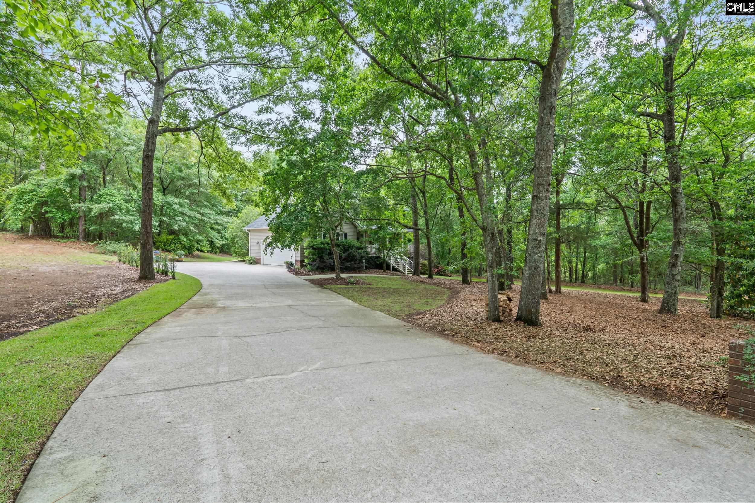 132 Forts Pond Road Pelion, SC 29123 - Photo 45 of 54
