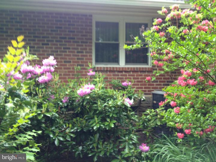 205 Kent Road Wyncote, PA 19095 - Photo 20 of 24 Exterior Back