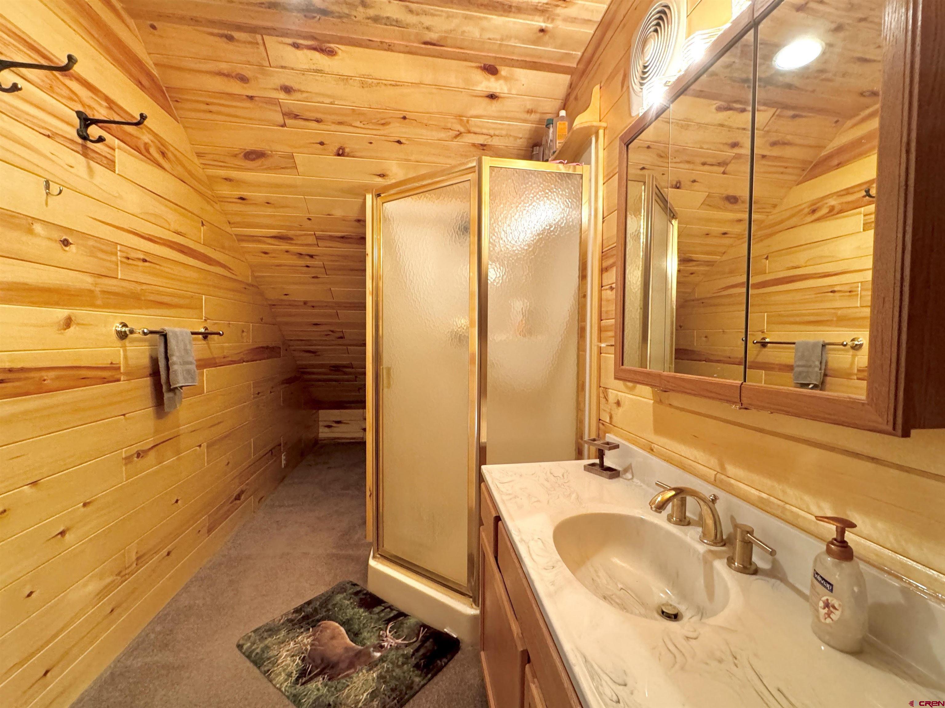 0 Forest Road Del Norte, CO 81132 - Photo 21 of 40 a bathroom with a sink and a shower