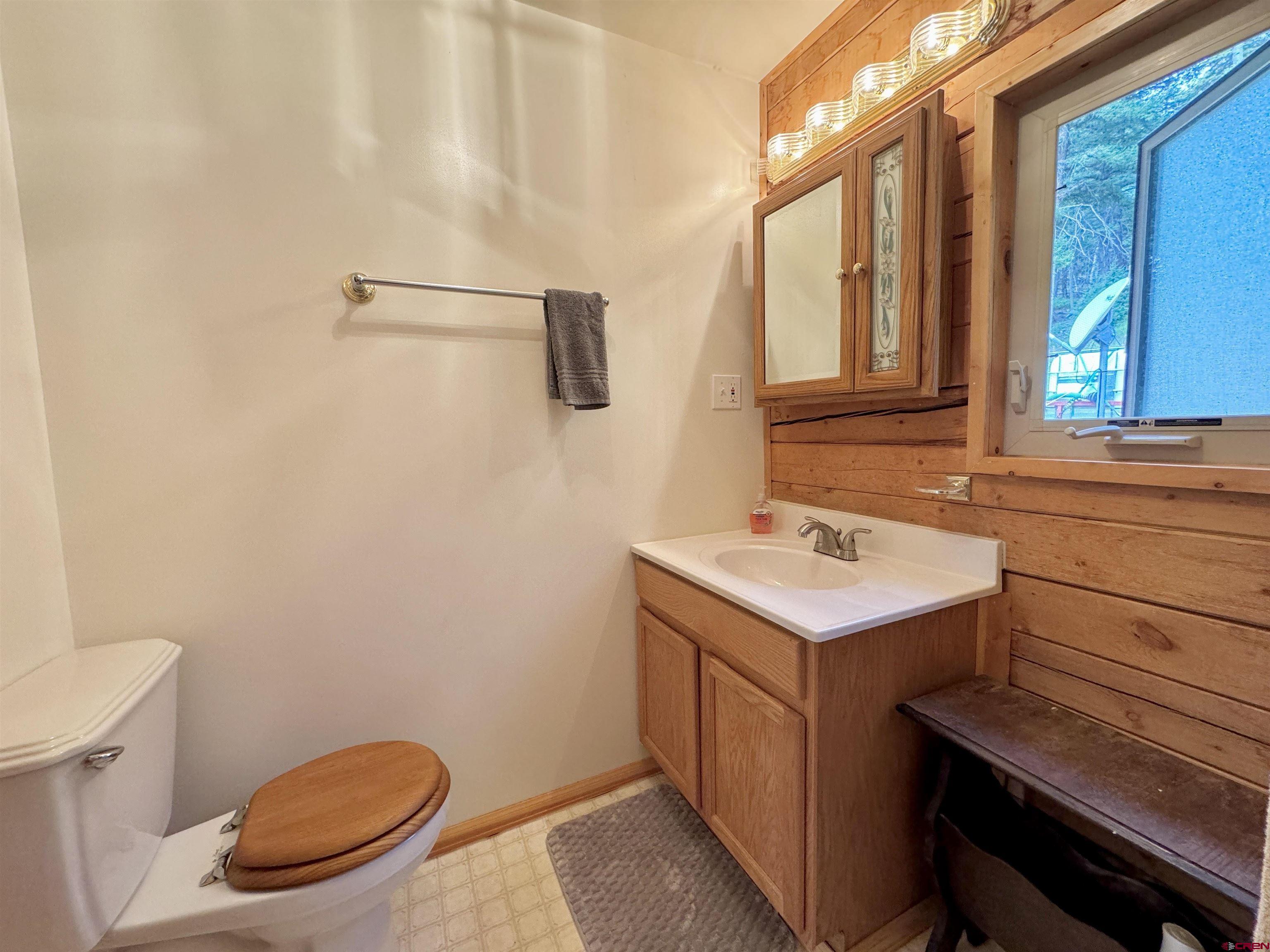 0 Forest Road Del Norte, CO 81132 - Photo 23 of 40 a bathroom with a sink a toilet a mirror and shower
