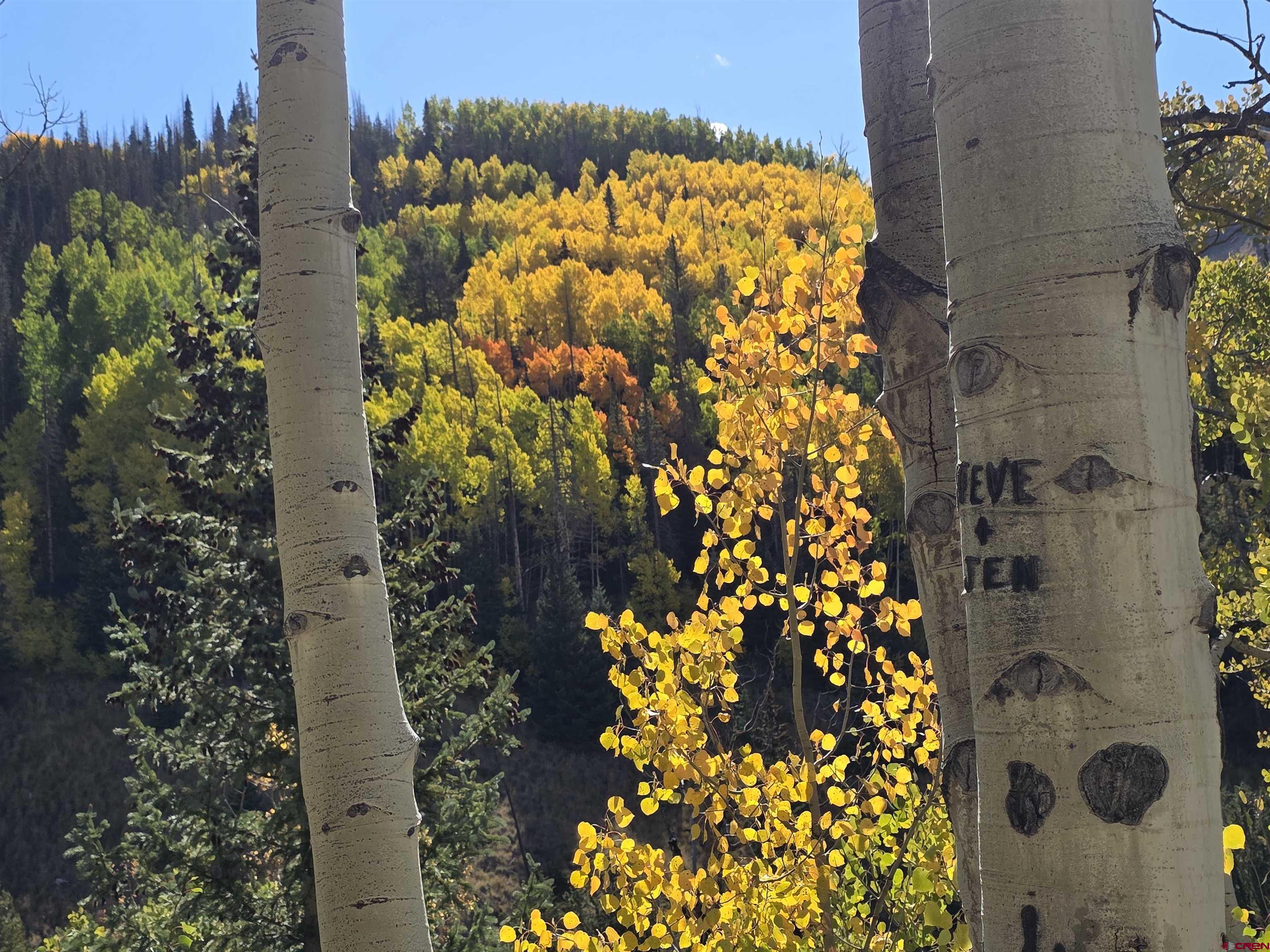 0 Forest Road Del Norte, CO 81132 - Photo 3 of 40