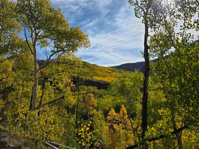$875,000 | 0 Forest Road, Del Norte, CO 81132