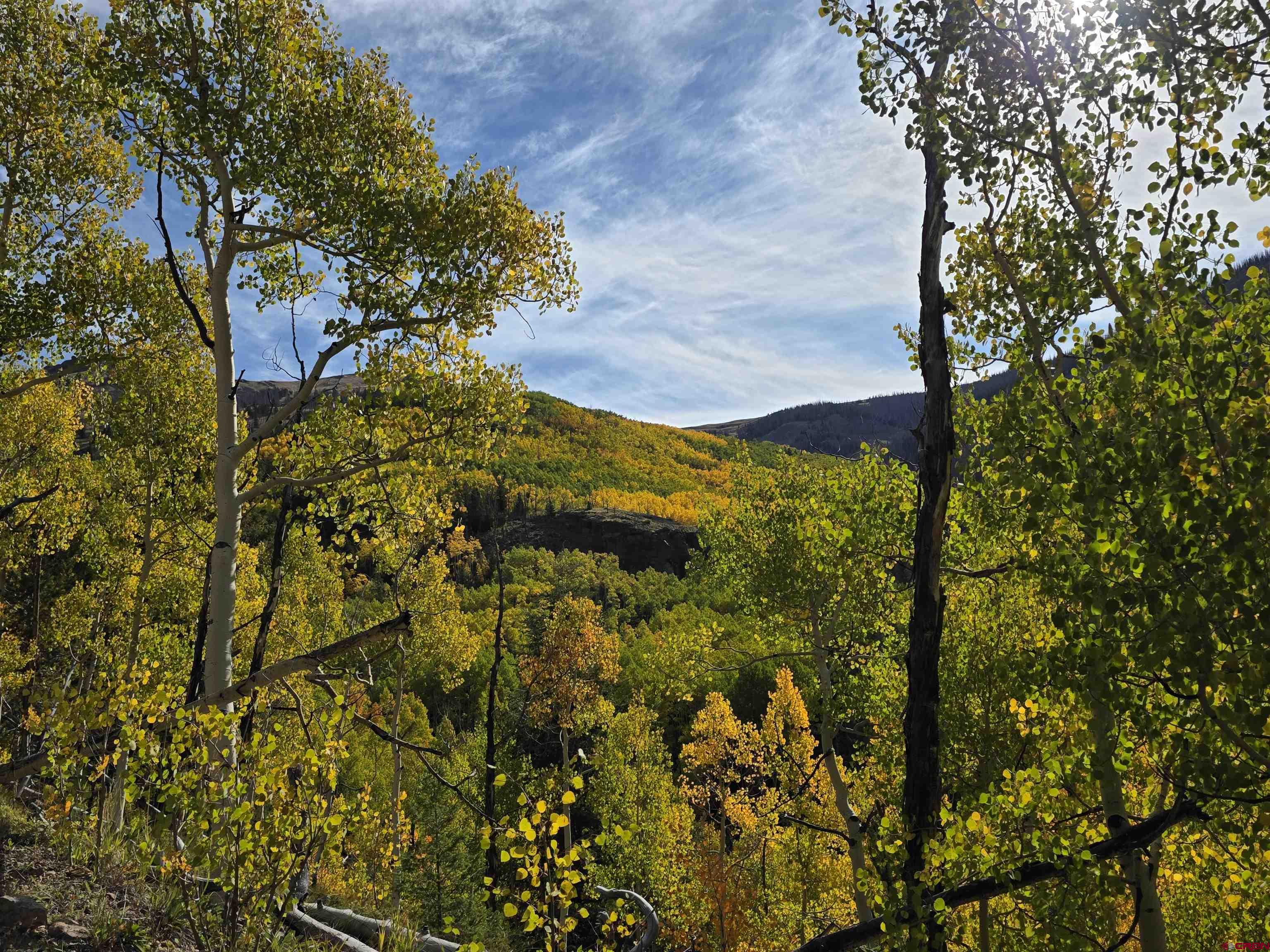 0 Forest Road Del Norte, CO 81132 - Photo 39 of 40 a view of a garden