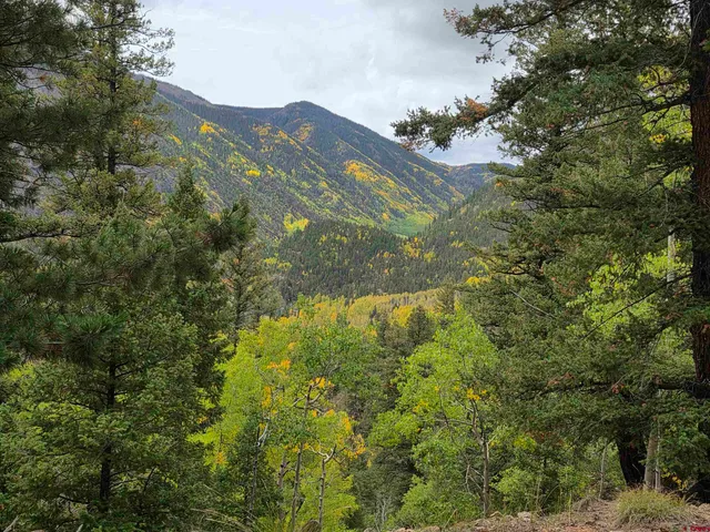 $875,000 | 0 Forest Road, Del Norte, CO 81132