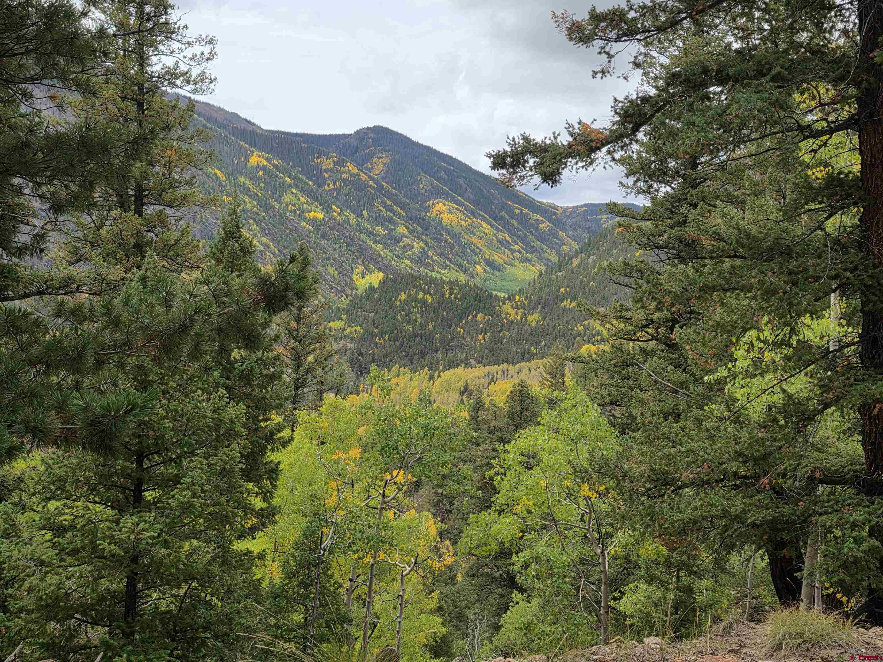 0 Forest Road Del Norte, CO 81132 - Photo 40 of 40 a view of mountain view with mountains in the background