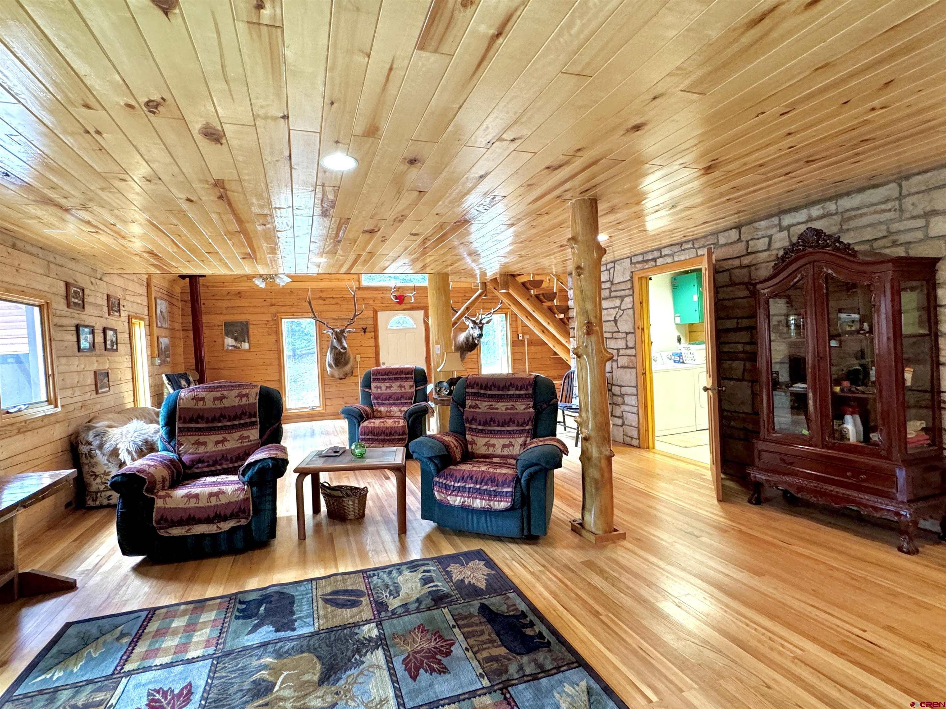 0 Forest Road Del Norte, CO 81132 - Photo 8 of 40
