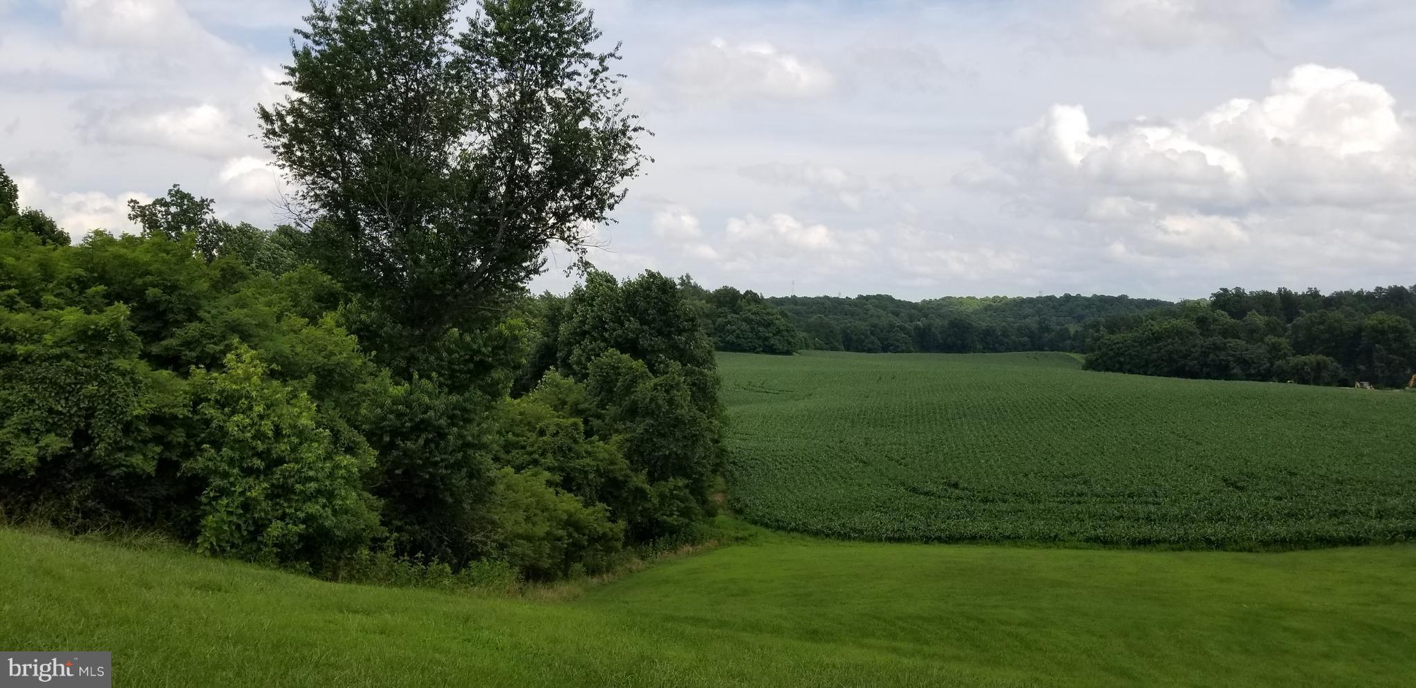 23620 Neck Road Aquasco, MD 20608 - Photo 11 of 30 View