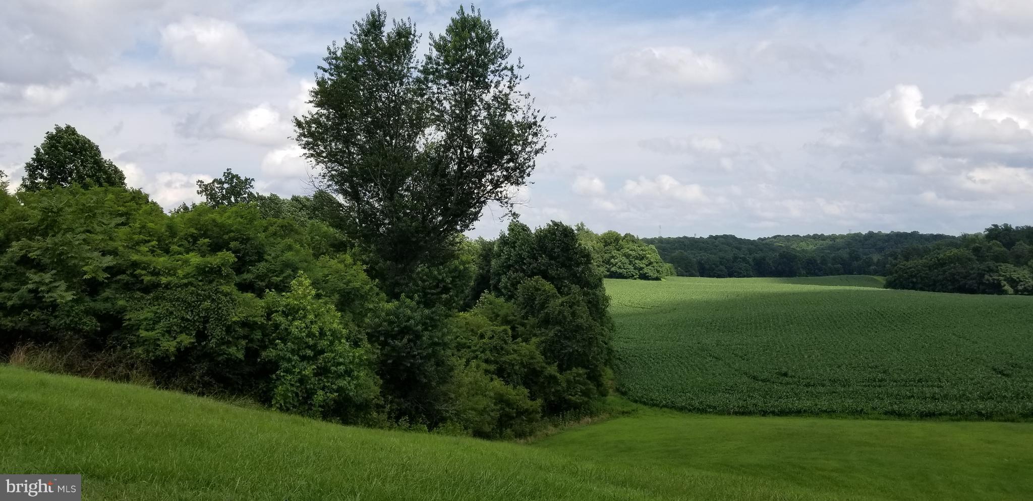 23620 Neck Road Aquasco, MD 20608 - Photo 29 of 30 View