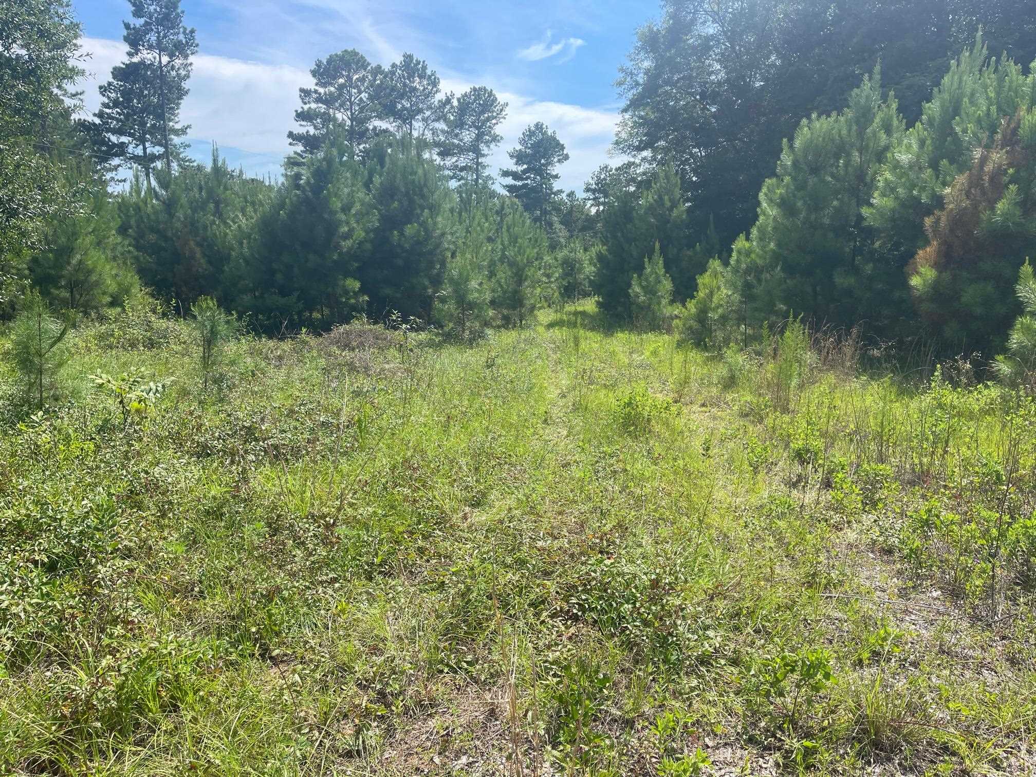 0 Point A Isle Road Andalusia, AL 36421 - Photo 3 of 8 Gallery Image 3