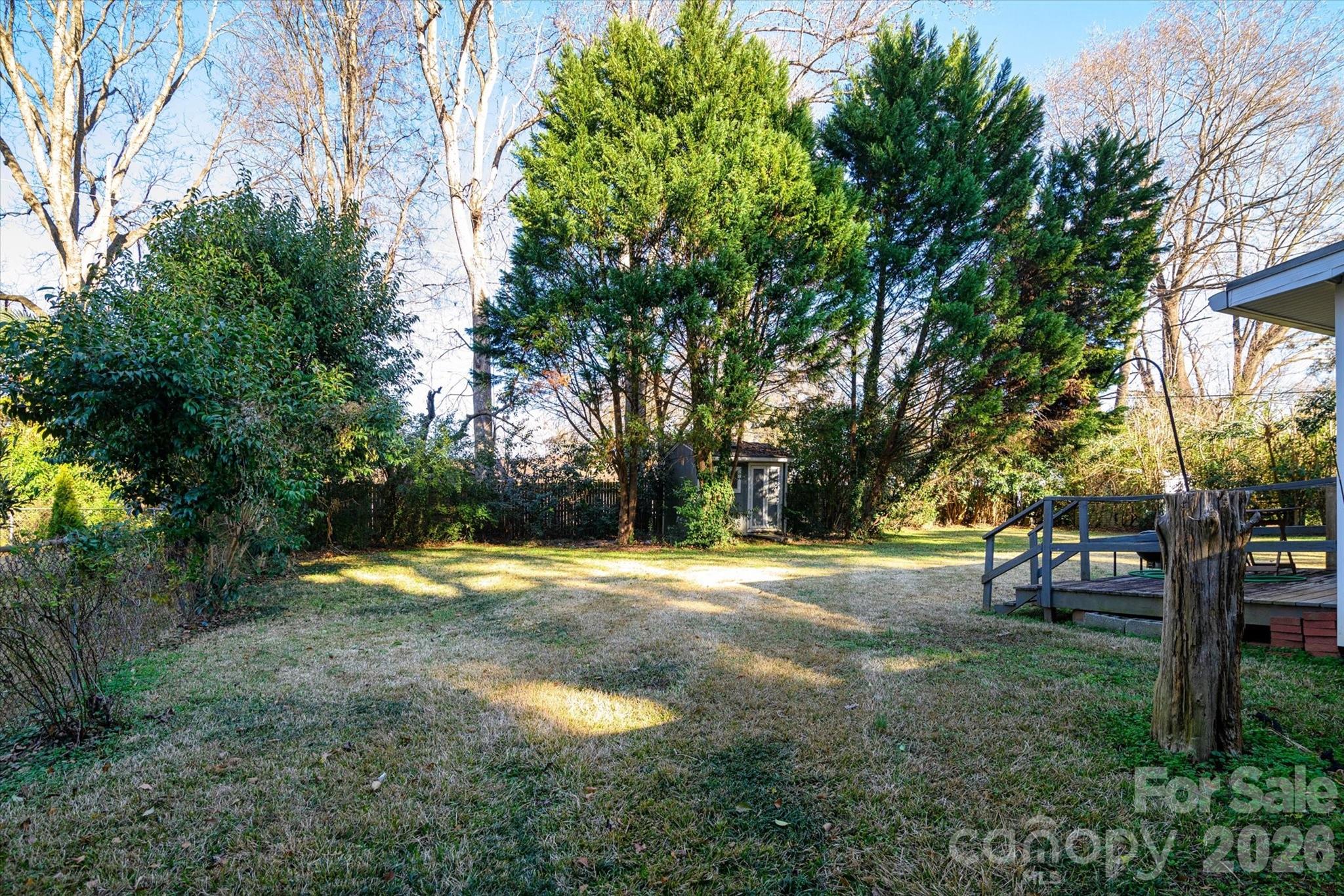 1736 Ebinport Road Rock Hill, SC 29732 - Photo 28 of 34 a view of a yard with a tree