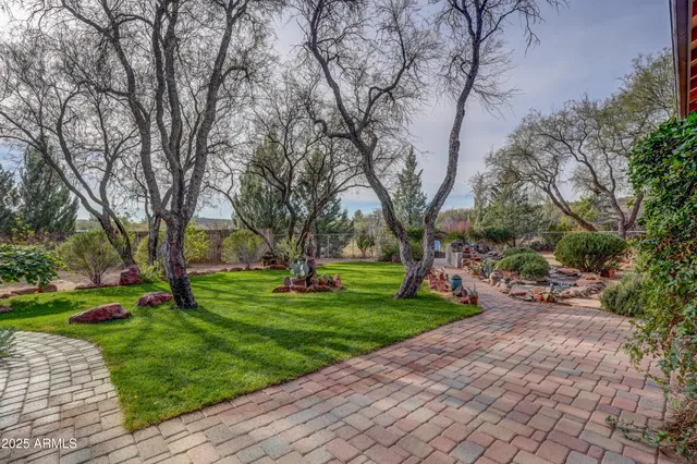 a view of a park with large trees