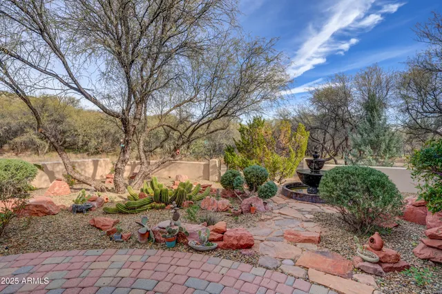 a view of a backyard with tree s