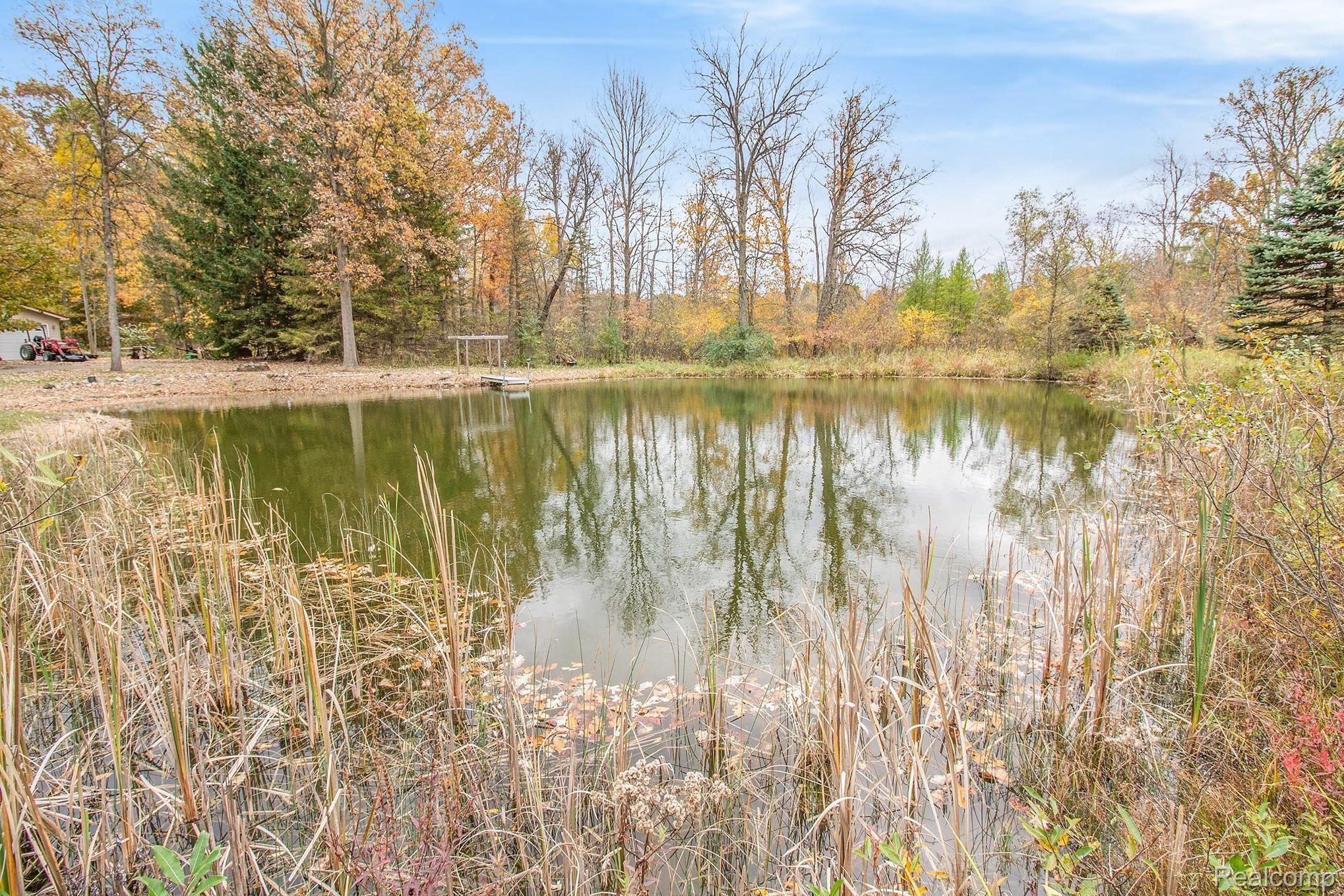 Pond.jpg